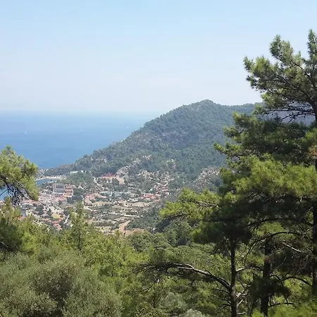 Seniz Tatil Evleri * Turunç